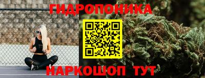 прущие грибы Конаково