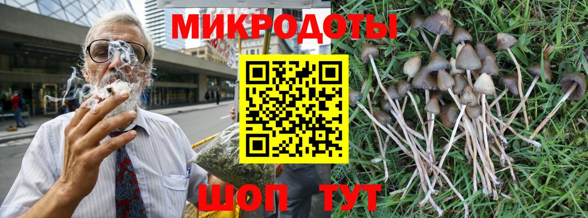 Псилоцибиновые грибы MAGIC MUSHROOMS Чусовой